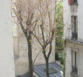 Отдых в Montmartre Apartments Braque  - Франция, Париж