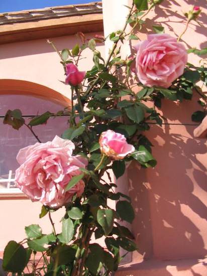 La Locanda di Colle dell'Oro  Италия, Терни
