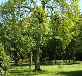 Отдых в Guest House Le Clos Pasquier  - Франция, Блуа