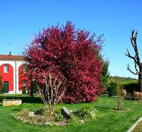 Туры в Agriturismo Tenuta Polledro  в Италии