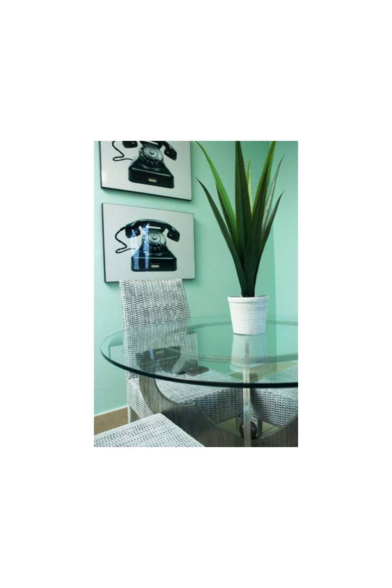 Apartamentos San Vicente 10 