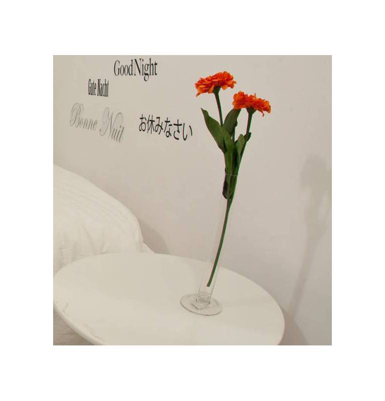 BeHouse Room and Breakfast 