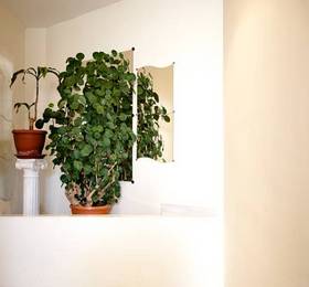 Apartamentos Villa Petrix  в Торремолиносе