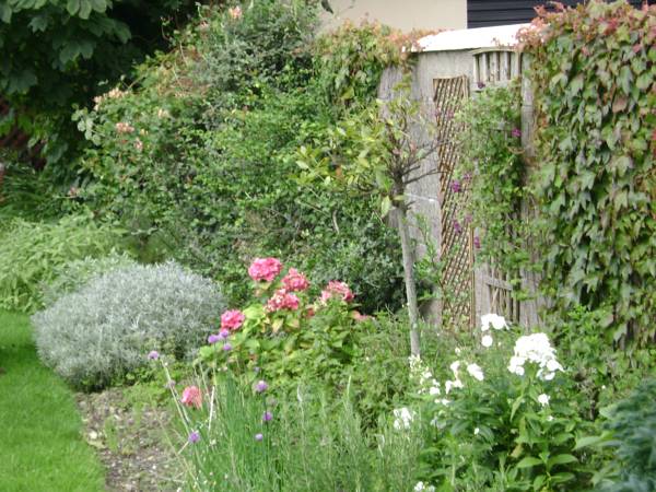 Saint Anthony's Lodge B&B 