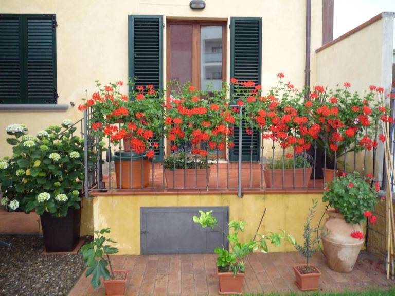 Bed And Breakfast Loriana 