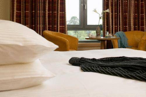 Bewleys Hotel Ballsbridge  3*