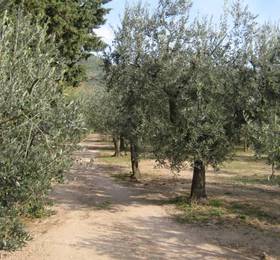 Туры в Casa Giulia Country House  в Италии