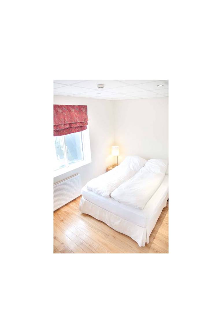 Reykjavik Downtown Hostel 