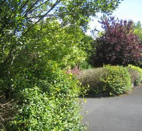 Отдых в Bunratty Grove Guesthouse  - Ирландия, Бунратти
