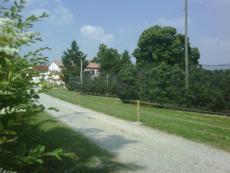 Agriturismo Alla Casella 