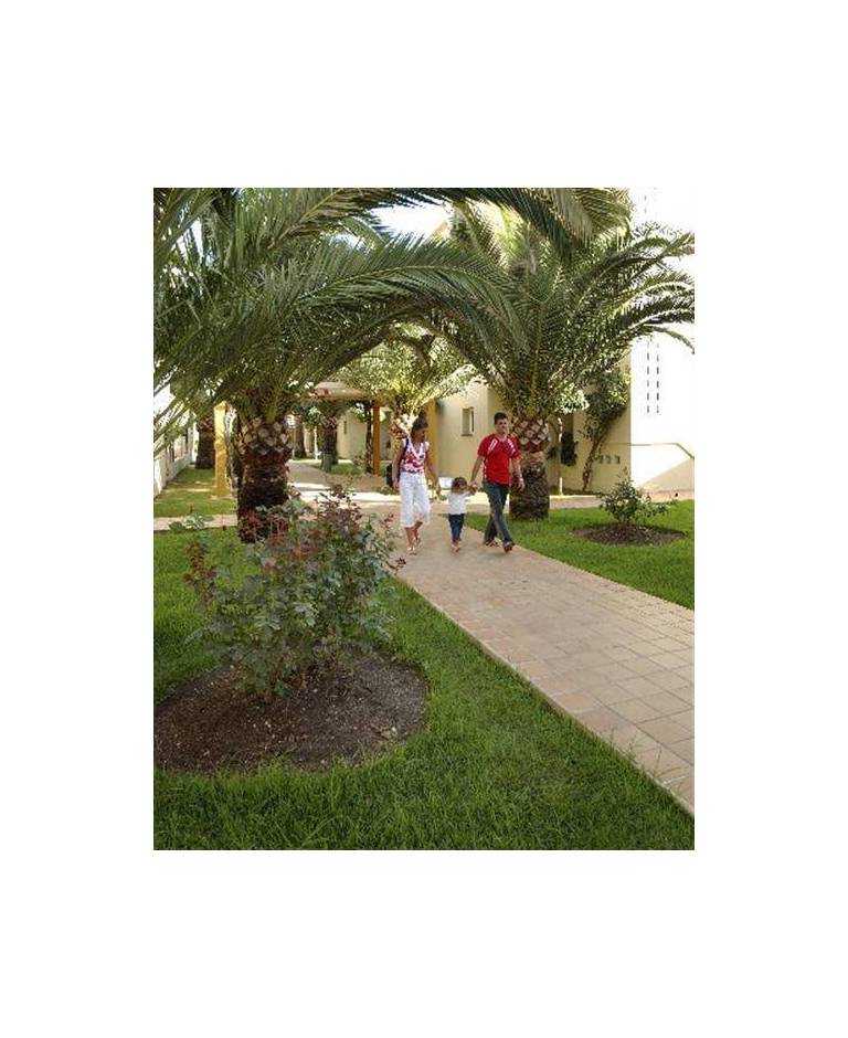 Hotel Pueblo Camino Real 