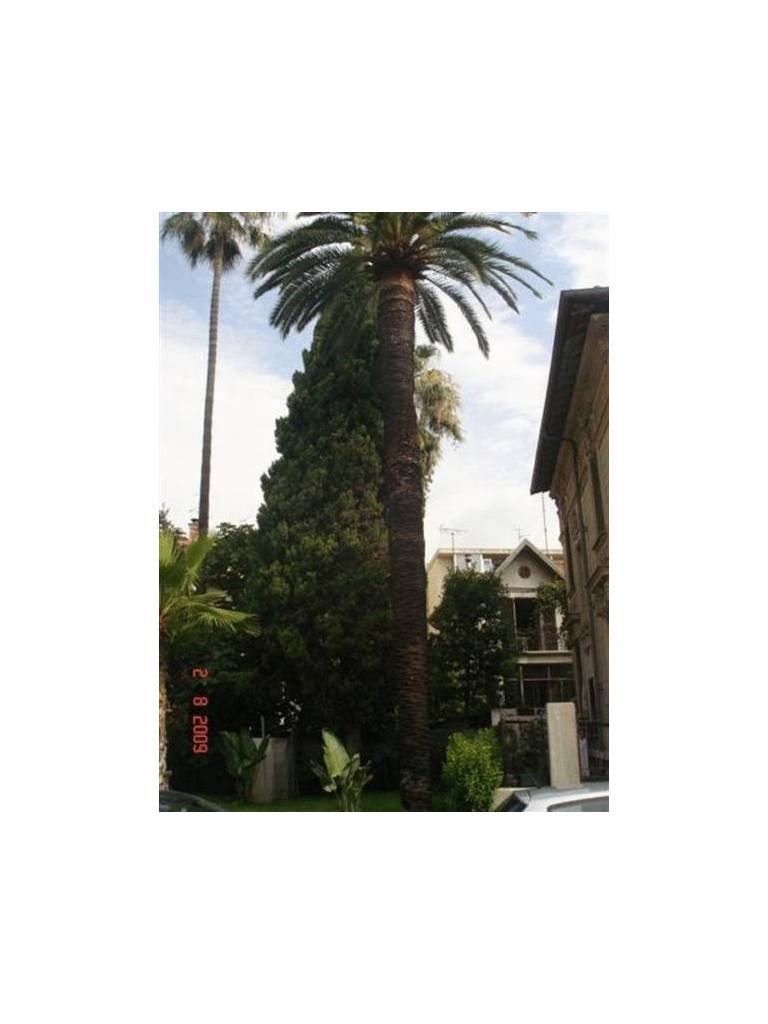 Villa Aramis Guesthouse, Nice
