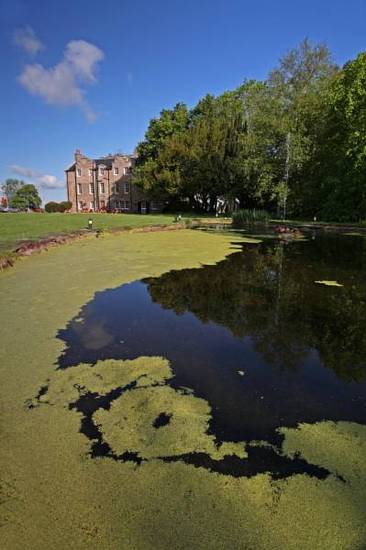Shieldhill Castle Hotel  4* Великобритания, Биггар