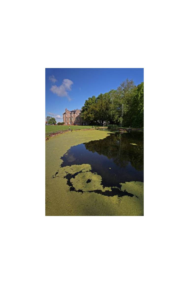 Shieldhill Castle Hotel 
