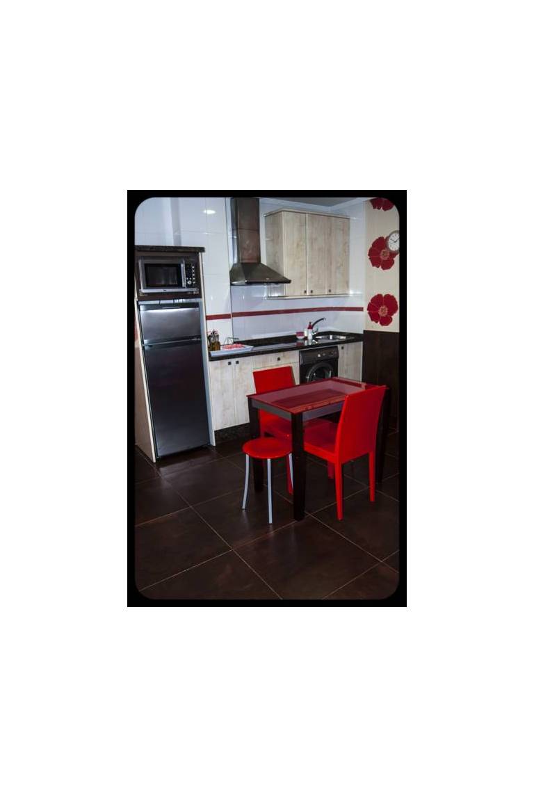 Apartamentos Astilleros 