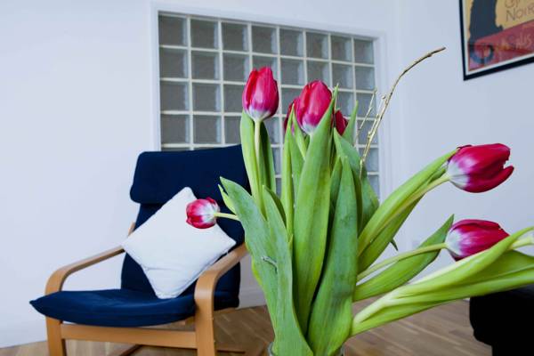 Palace Residential Lets 