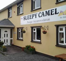 The Sleepy Camel Hostel  в Гленбее