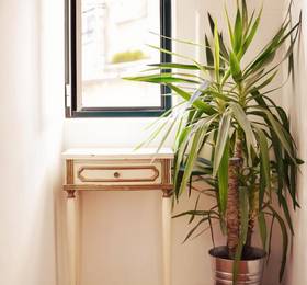 Туры в Lisbon Story Guesthouse в Португалии