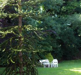 Отдых в Kathleens Country House  - Ирландия, Килларни
