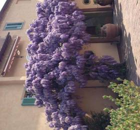 Hotel Palazzo di Valli в Сиене