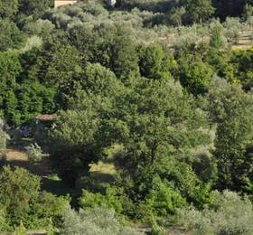 Отдых в Agriturismo Malafrasca  - Италия, Сиена