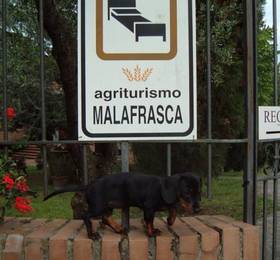 Agriturismo Malafrasca  в Сиене