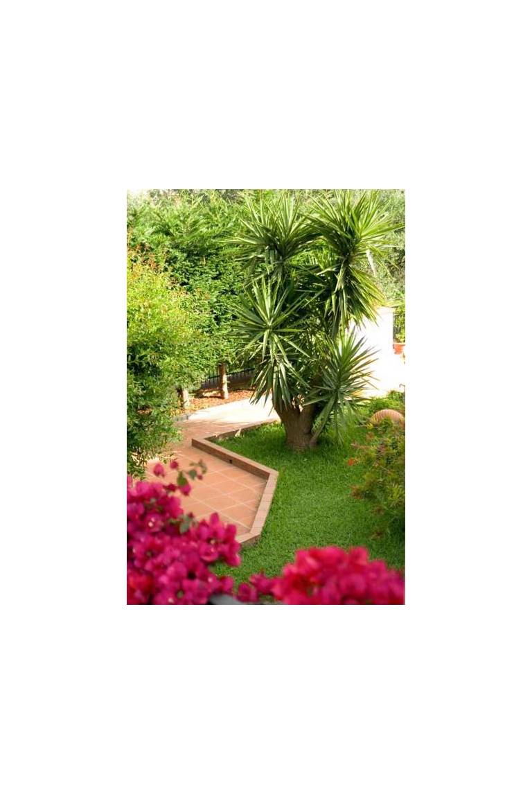 Hibiscus Affittacamere