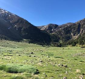 Hostal Pirineos Meliz  в Бьельсе