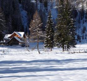 Туры в Dolomiti Hotel Cozzio в Италии