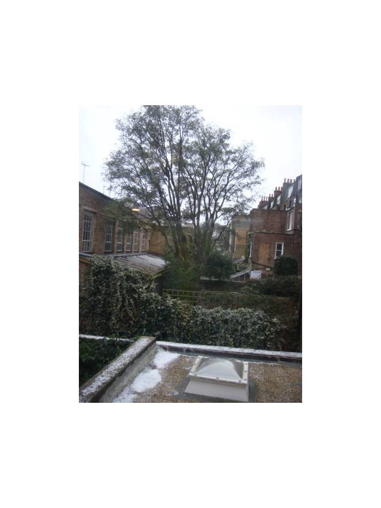 Guilford House Hotel 