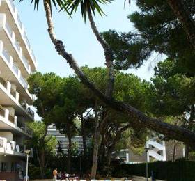 Туры в Mediterranean Suites  в Испании