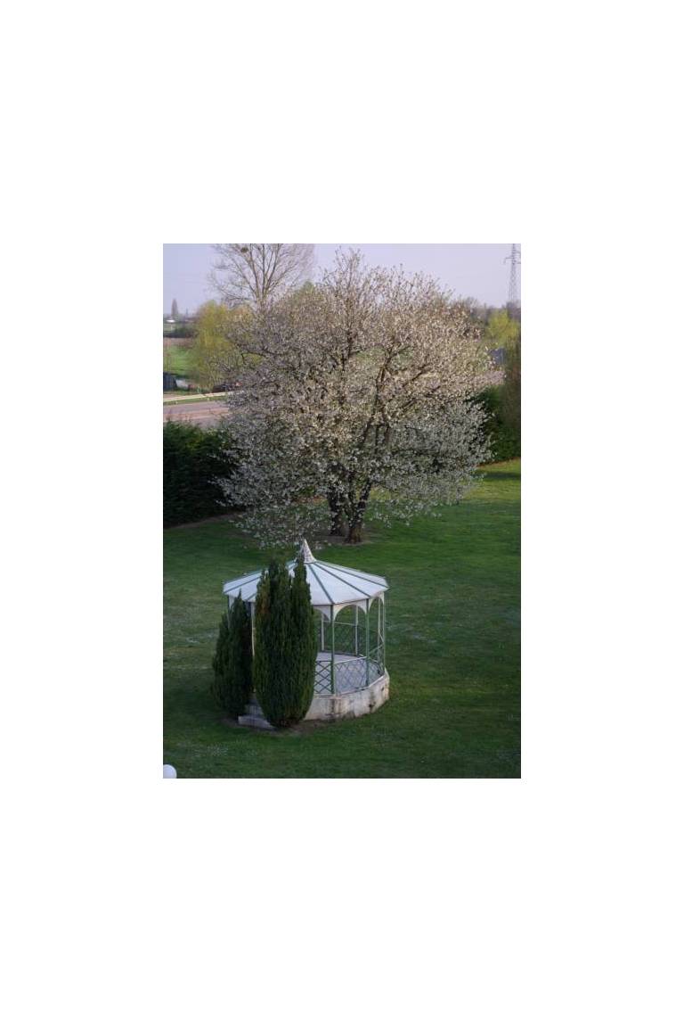 Comfort Hotel Beaune 