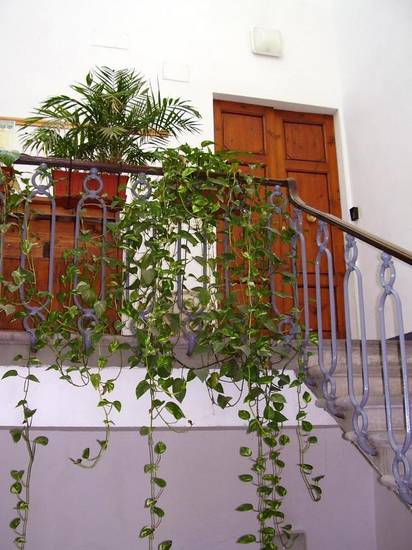 Residenza Le Rondini Италия, Флоренция