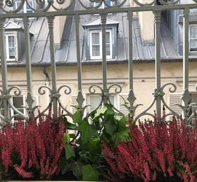 Отдых в Corona Hotel - Франция, Париж