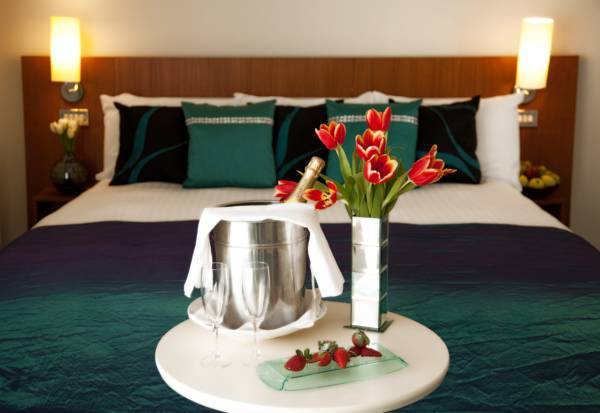 The Harlequin Hotel  4* Ирландия, Каслбар