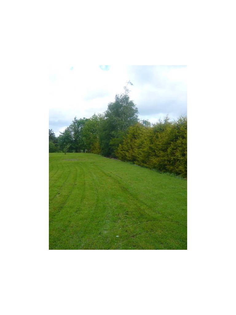 Rockfield House B&B 