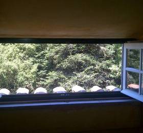 Туры в Almaa Sintra Hostel в Португалии