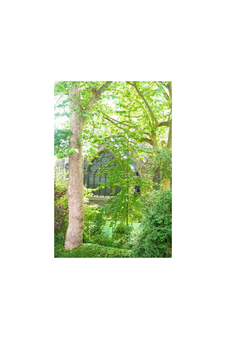 Curzon House Hotel 