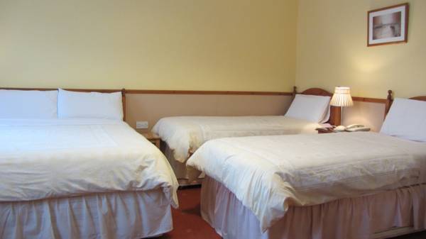 Kennys Guest House  3* Ирландия, Каслбар