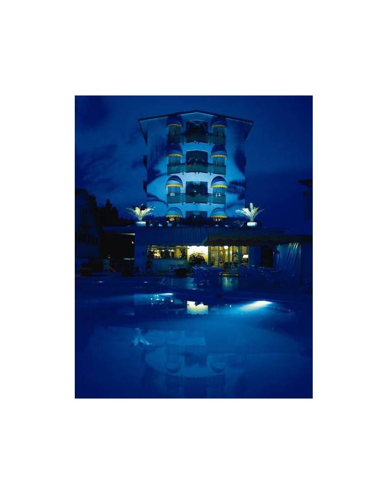 Hotel Delle Mimose 