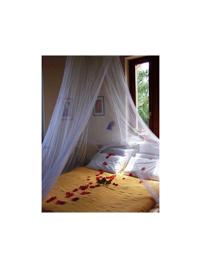 Villa Del Pino B&B 