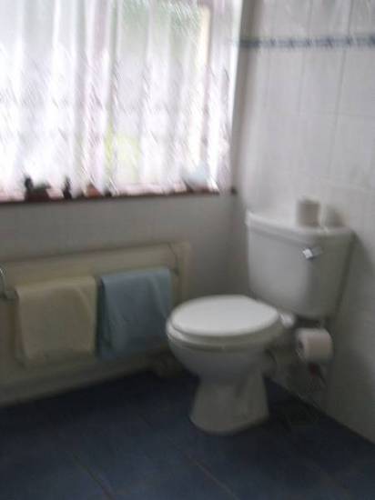 Sheridan Lodge B&B  3* Ирландия, Трали