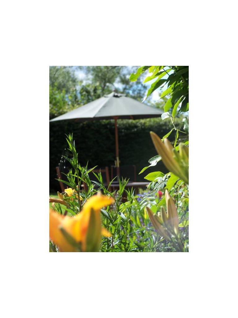 Balmuirfield House Bed and Breakfast
