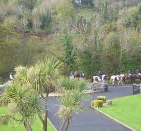 Туры в Bunratty Villa B&B в Ирландии