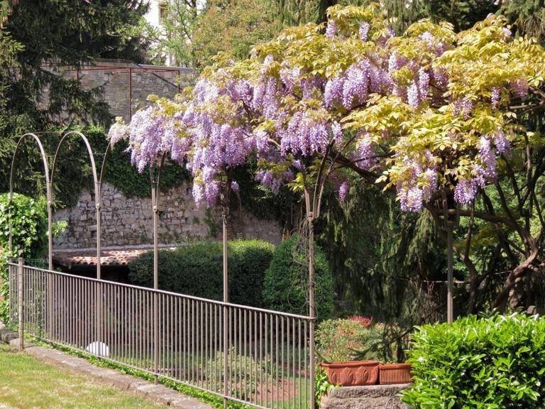 B&B Entro Le Mura 