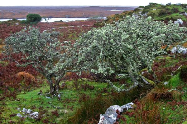 Clifden Bay Lodge
