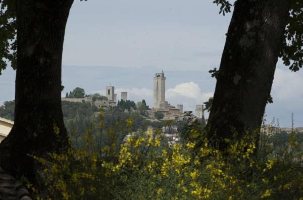 Podere Bellavista