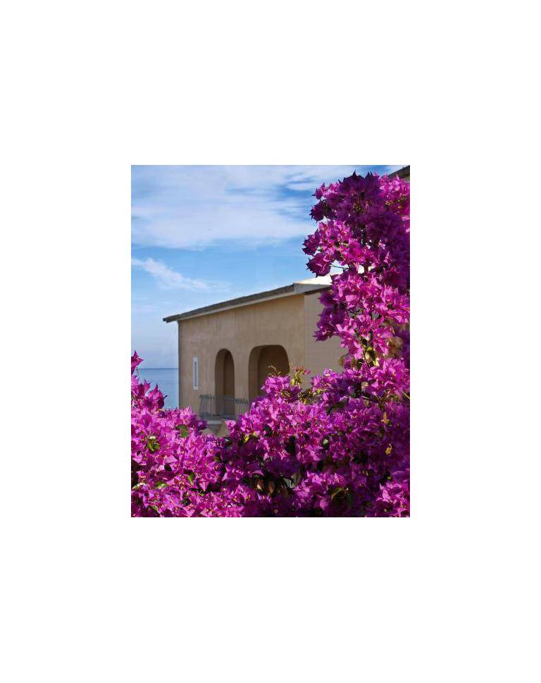Hotel Costa Doria 