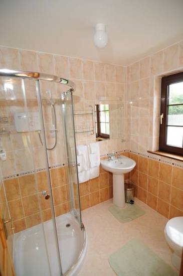 Bunratty Arms B&B  3* Ирландия, Бунратти