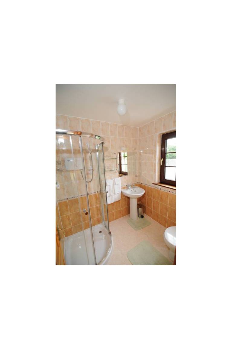 Bunratty Arms B&B 